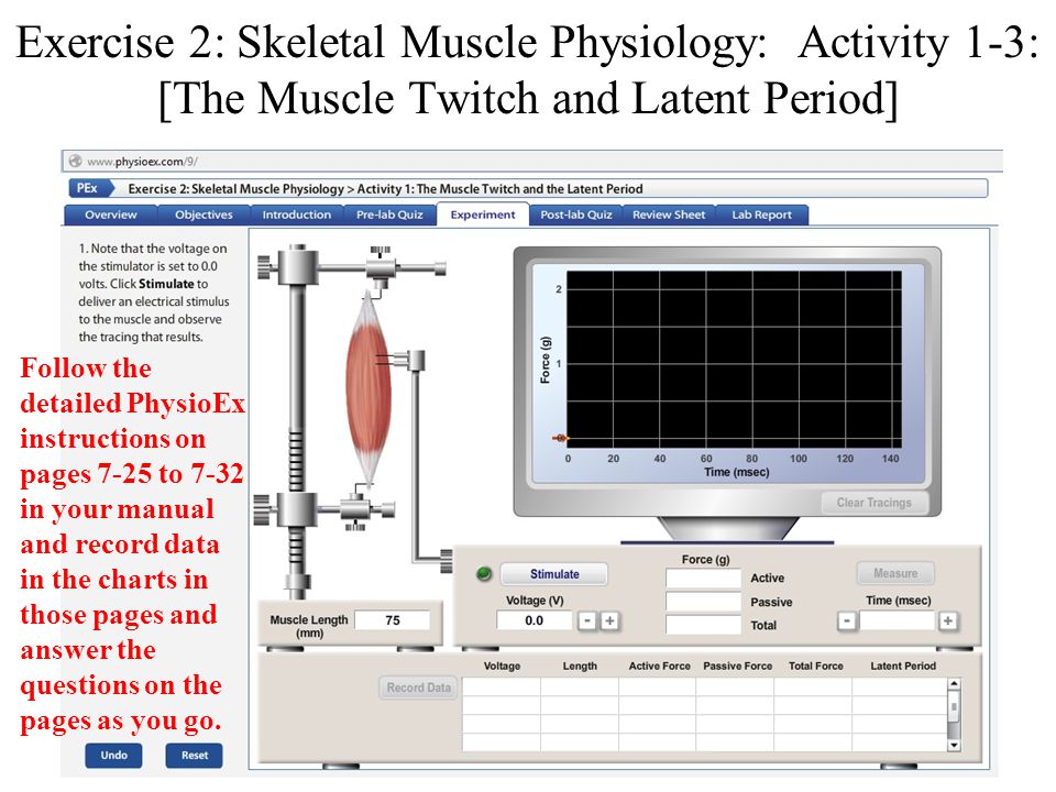 physioex 9.0 exercise 2 activity 2 answers